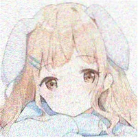 用户头像 苔原带