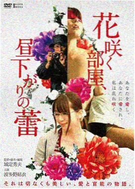 高清电影在线观看免费 多线路切换说明